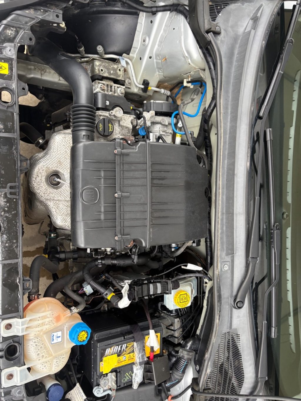 FIAT Punto 1.2 8V 5 porte Street POCHI CHILOMETRI EURO 6 - 22