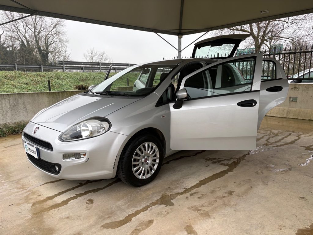 FIAT Punto 1.2 8V 5 porte Street POCHI CHILOMETRI EURO 6 - 41