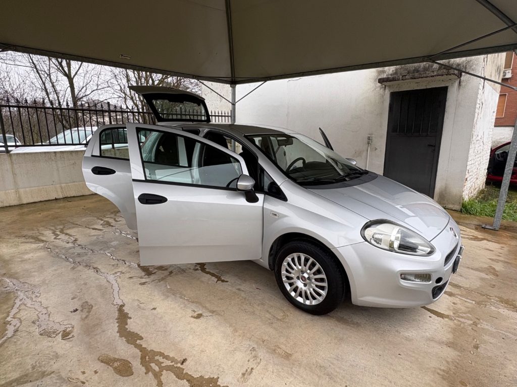 FIAT Punto 1.2 8V 5 porte Street POCHI CHILOMETRI EURO 6 - 42