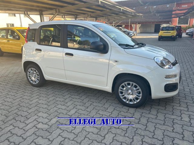 FIAT Panda Bianco extraserie pastello