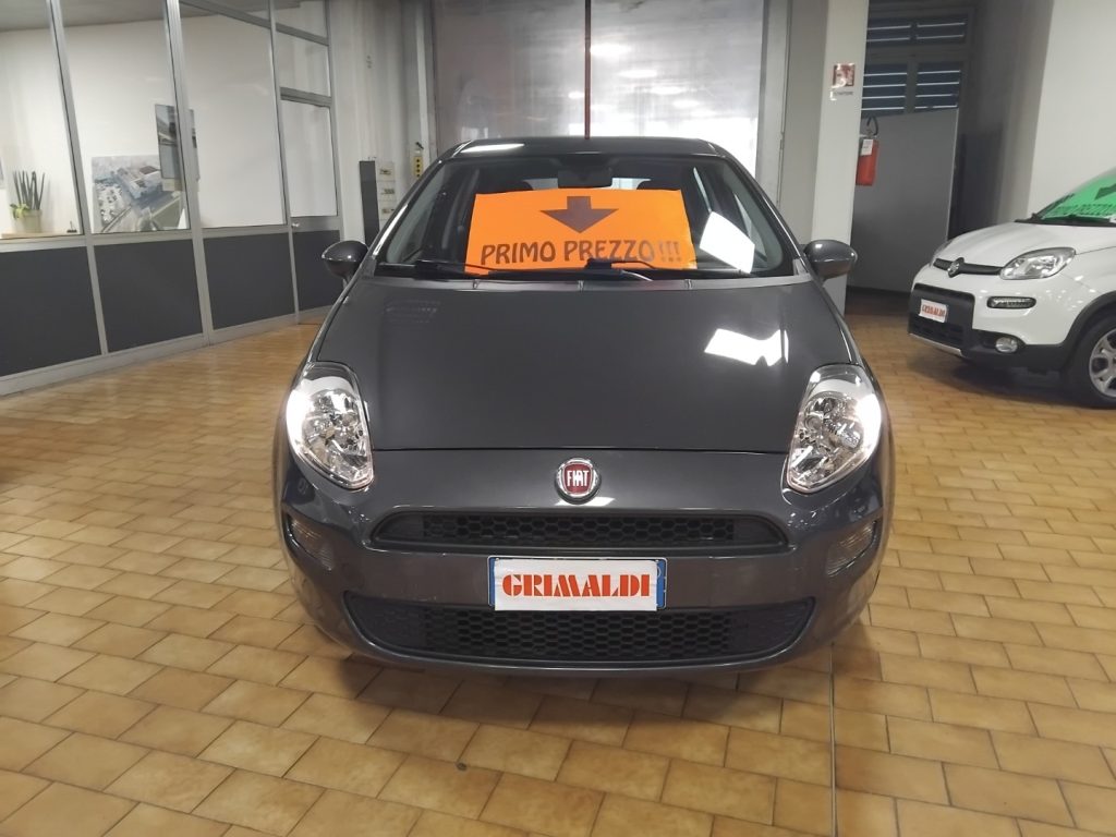 FIAT Punto 1.2 8V 5 porte Street - 3
