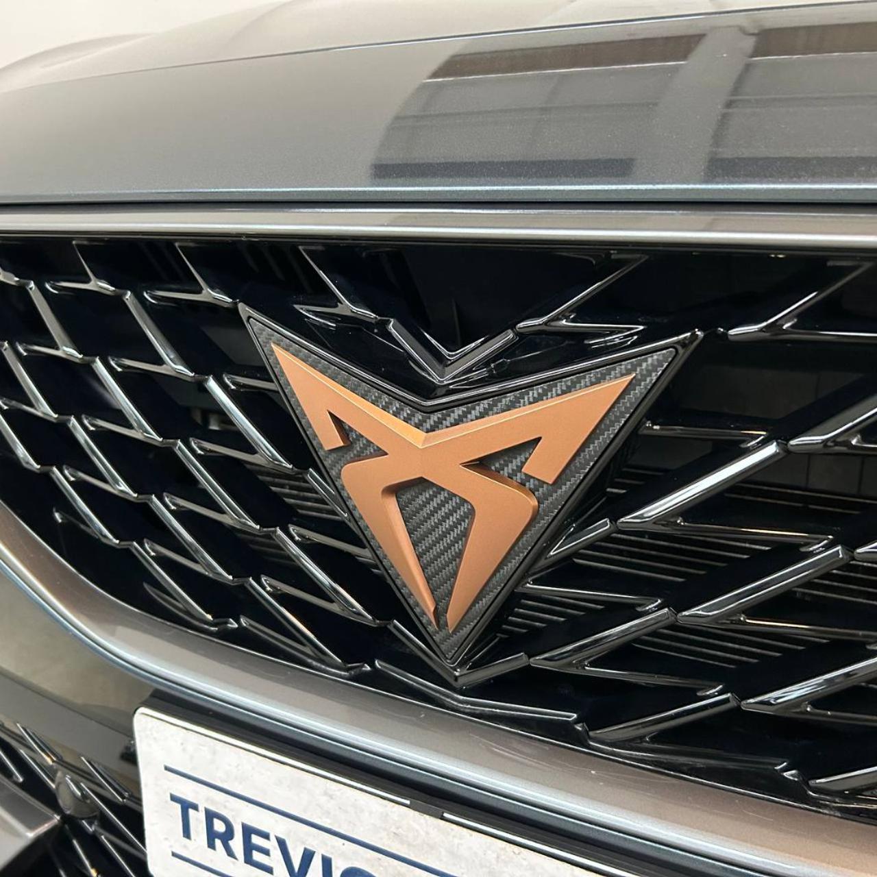 CUPRA Formentor 2.0 TDI 4Drive DSG - 37