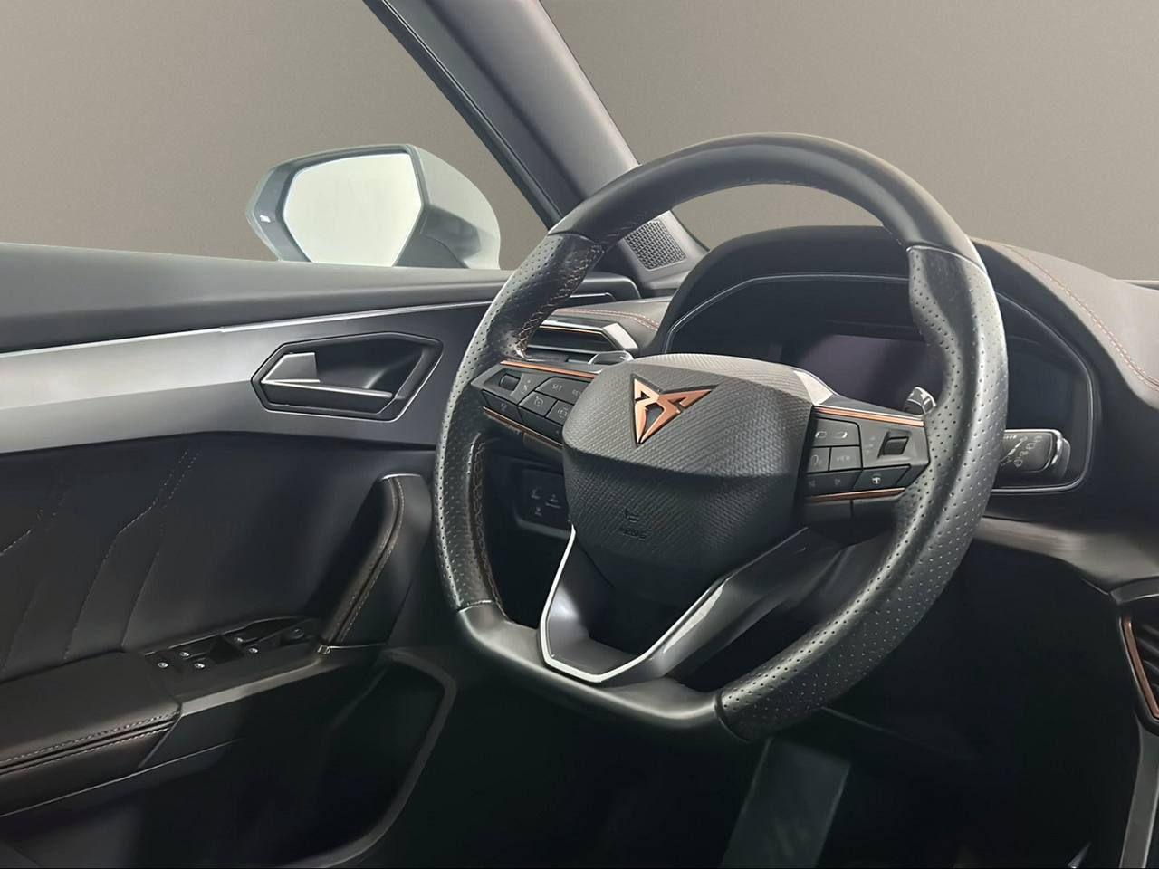 CUPRA Formentor 2.0 TDI 4Drive DSG - 24