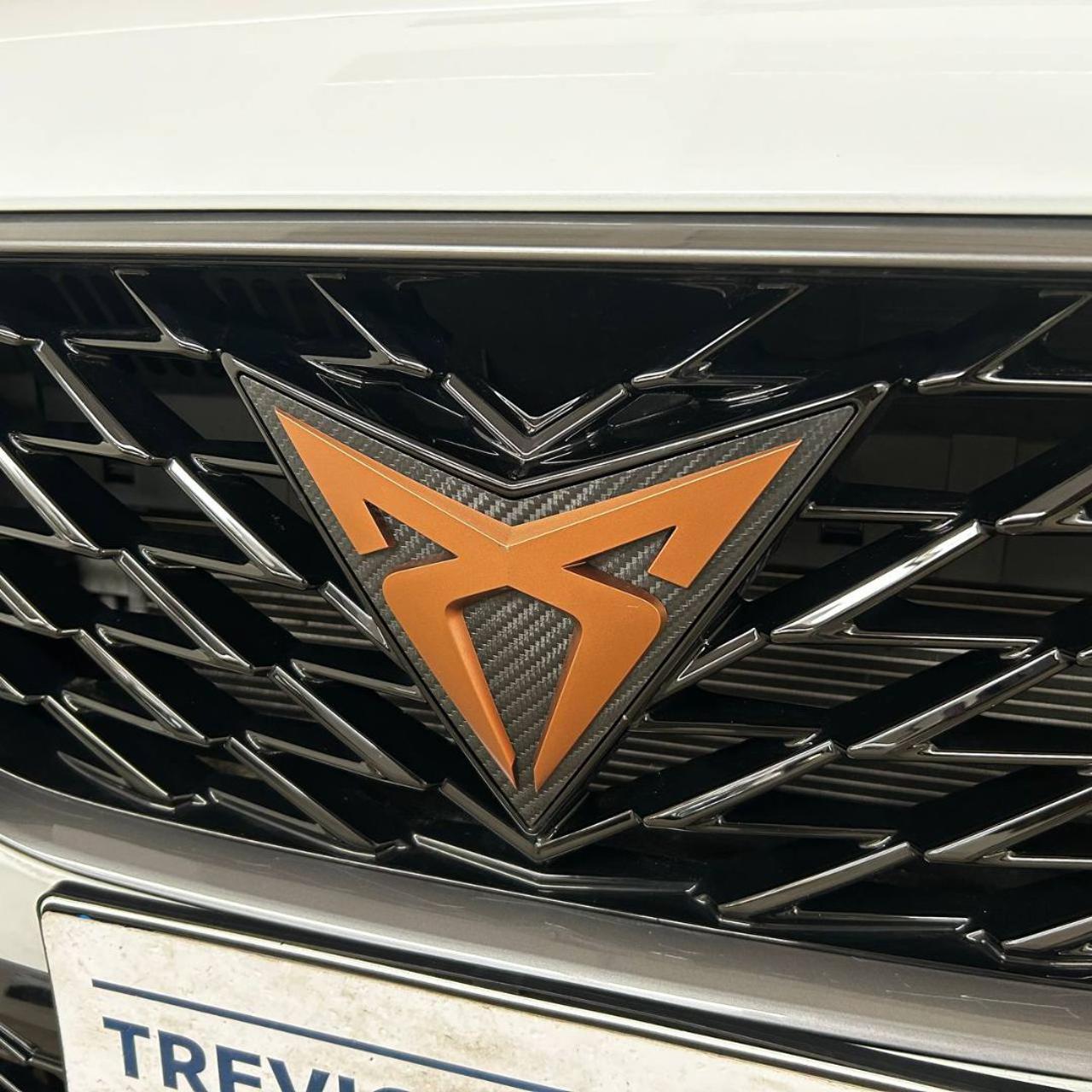 CUPRA Formentor 2.0 TDI 4Drive DSG - 36