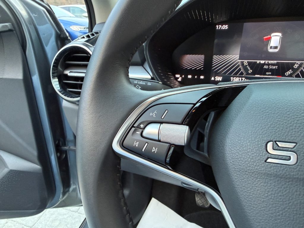 SKODA Fabia 1.0 TSI Young Edition Camera SmartLink LED - 10