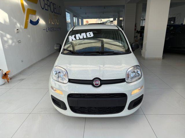 FIAT Panda Bianco metallizzato