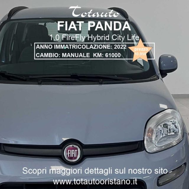 FIAT Panda Grigio pastello