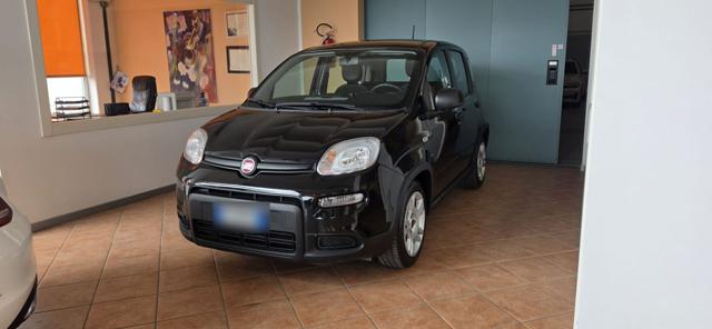 FIAT Panda Nero metallizzato