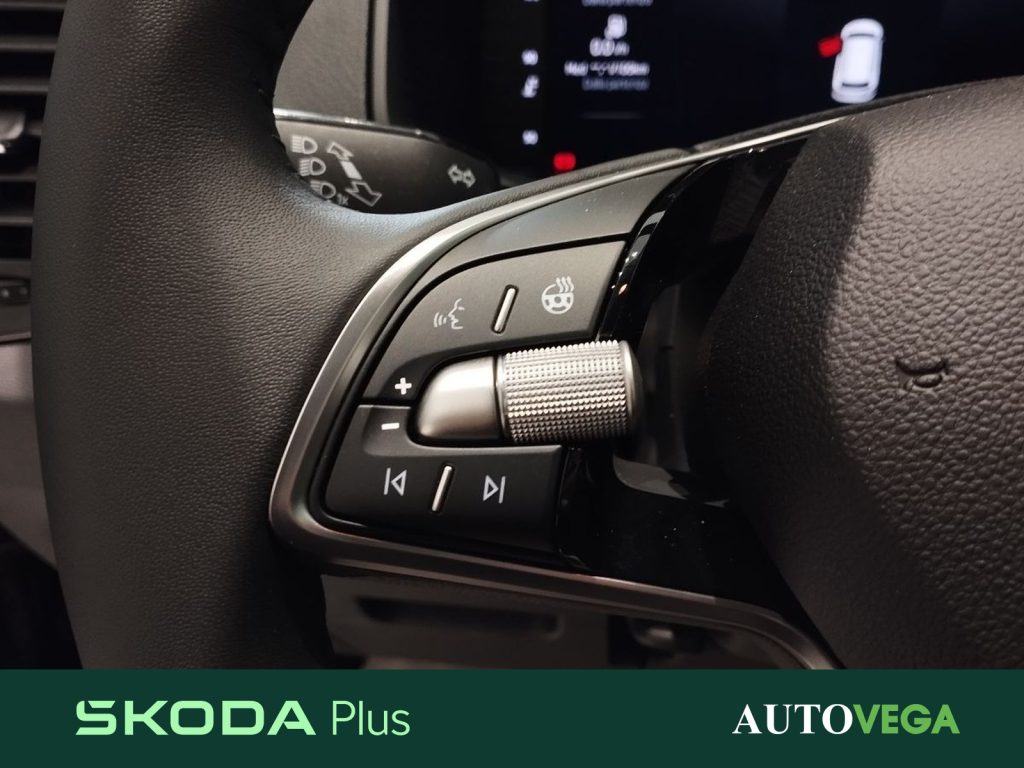 SKODA Karoq 1.0 tsi selection 115cv - 13