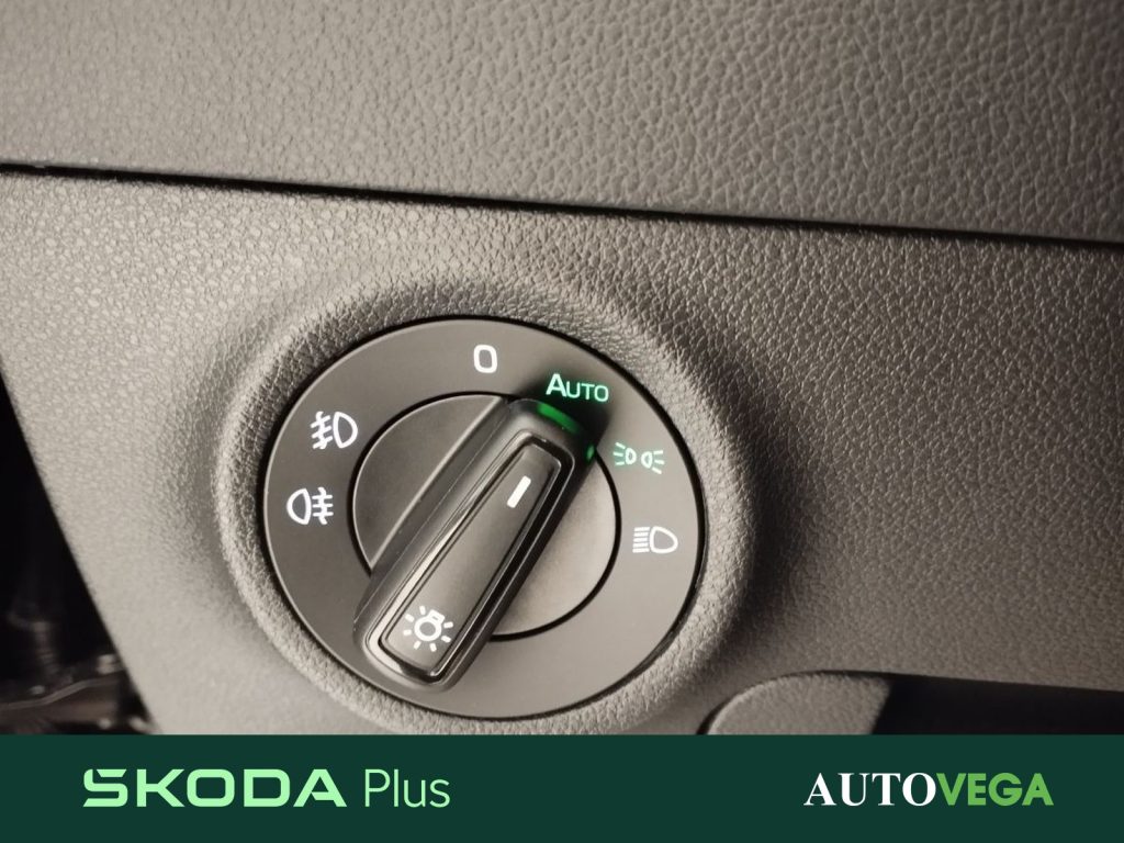 SKODA Karoq 1.0 tsi selection 115cv - 15