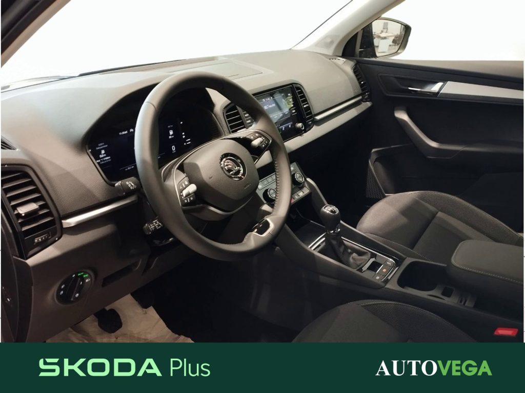 SKODA Karoq 1.0 tsi selection 115cv - 19