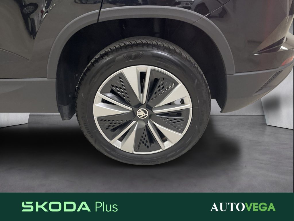 SKODA Karoq 2.0 tdi executive 115cv - 18