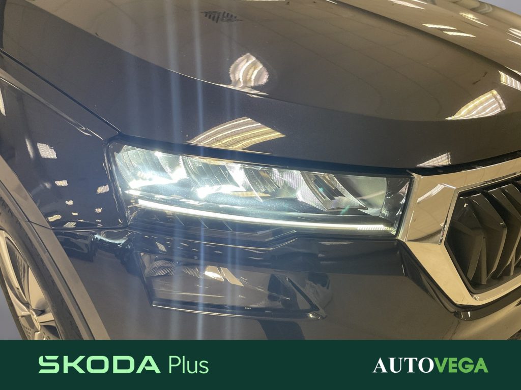 SKODA Karoq 2.0 tdi executive 115cv - 19