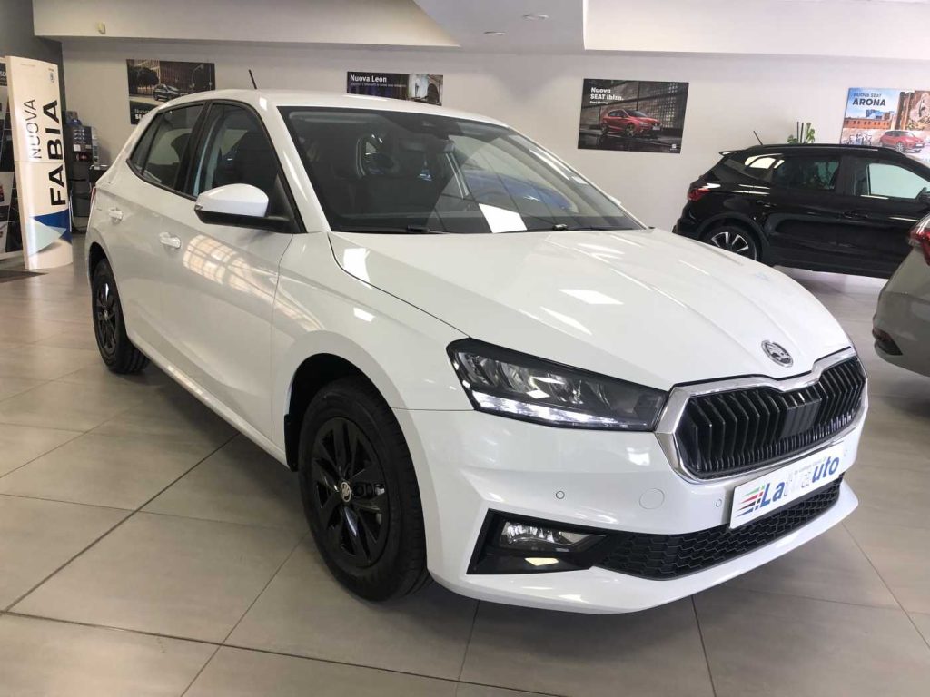 SKODA Fabia 1.0 MPI 80 CV Your Way - 4