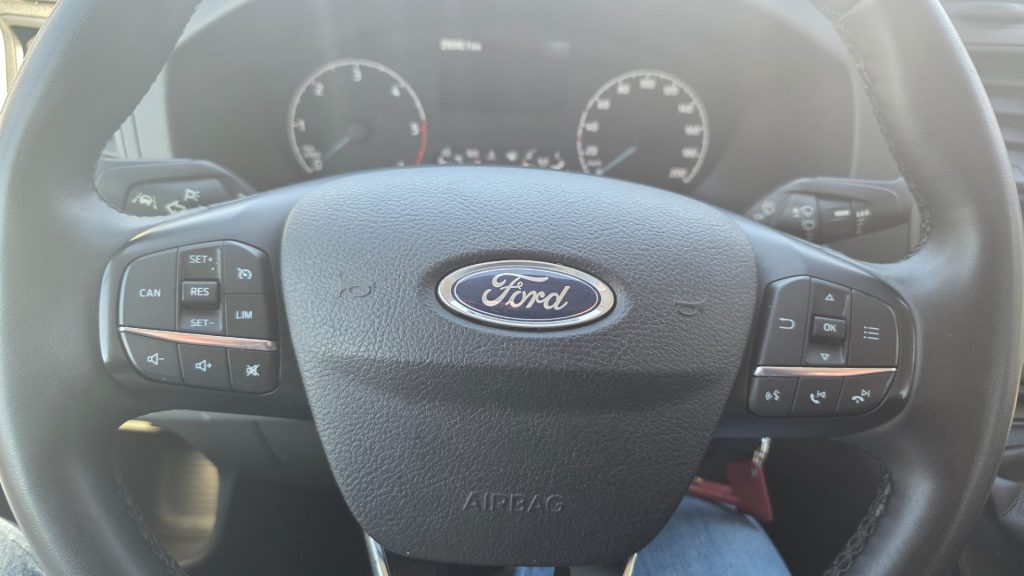 FORD Transit 350 2.0 EcoBl. 130CV RWD PL Trend Ribaltabile - 14