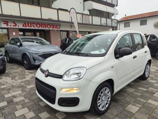 FIAT PANDA 1.0 70CV FireFly S&S Hybrid