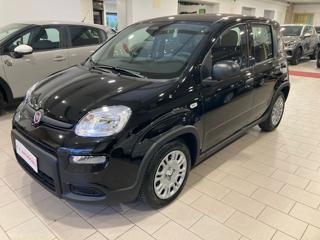 FIAT PANDA 1.0 70CV FireFly S&S Hybrid