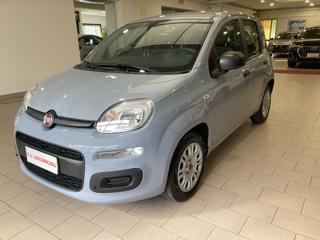 FIAT PANDA 1.0 FireFly 70CV S&S Hybrid #5 POSTI