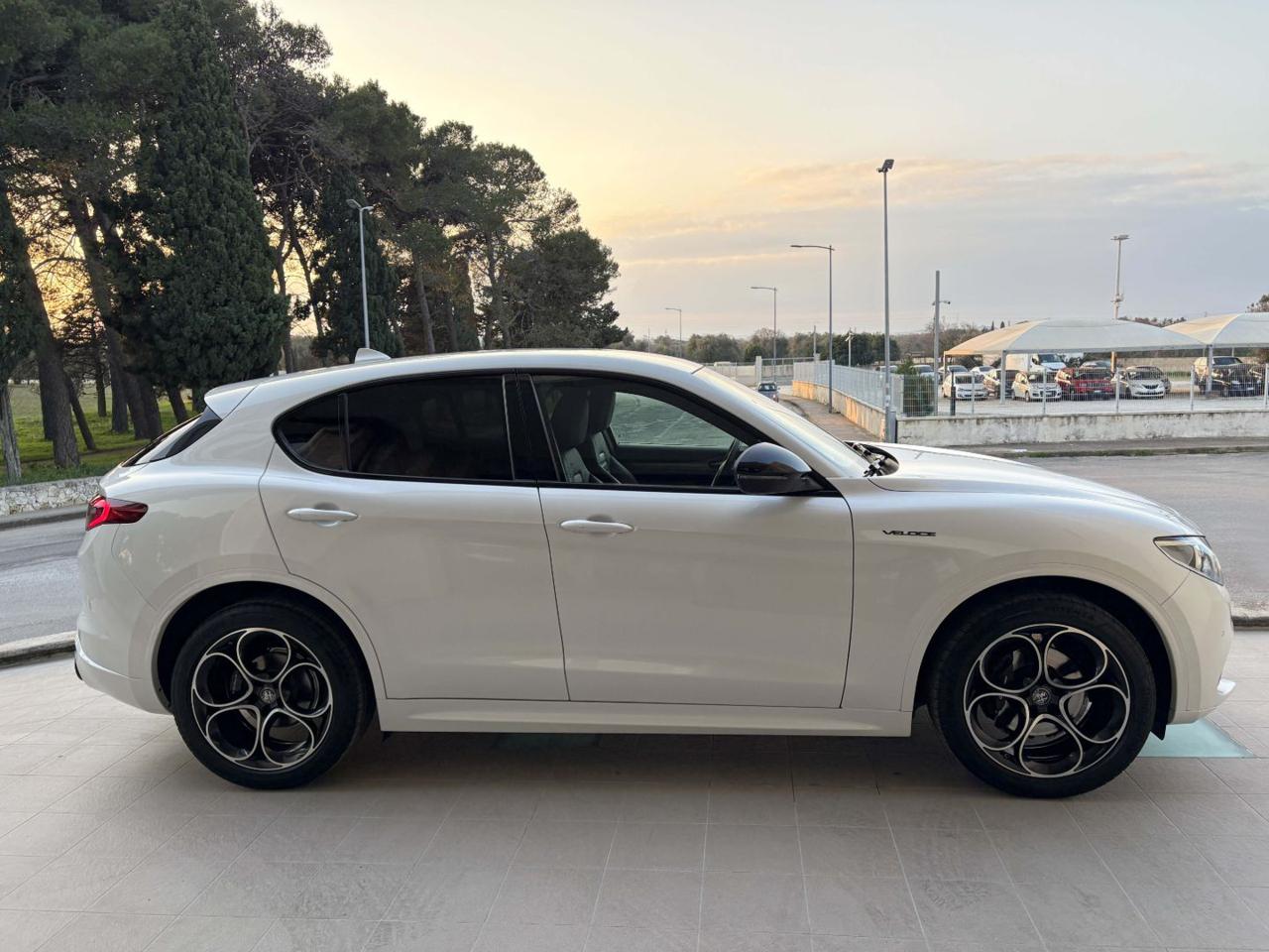 ALFA ROMEO Stelvio 2.2 Turbodiesel 210 CV AT8 Q4 Veloce - 4