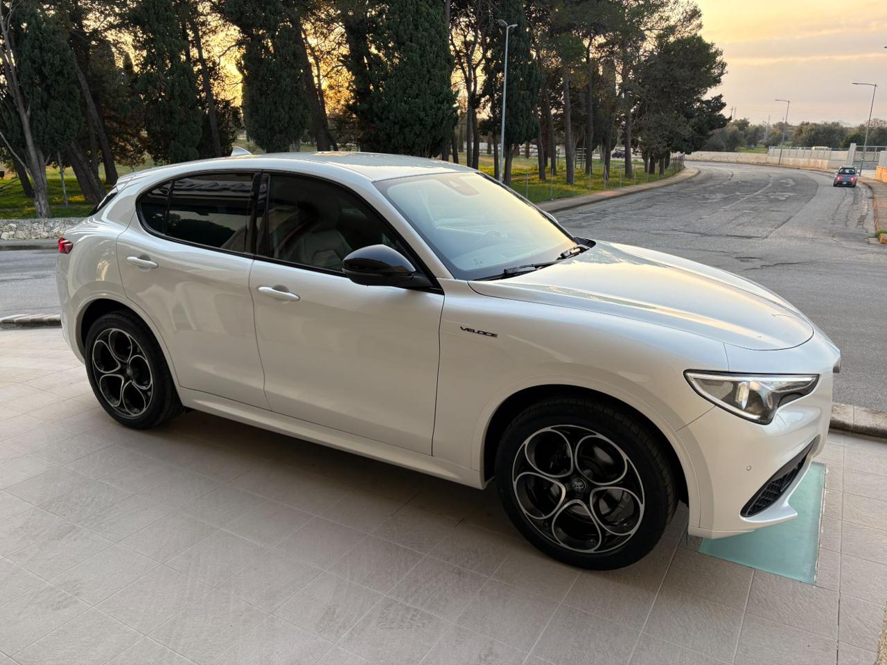 ALFA ROMEO Stelvio 2.2 Turbodiesel 210 CV AT8 Q4 Veloce - 3