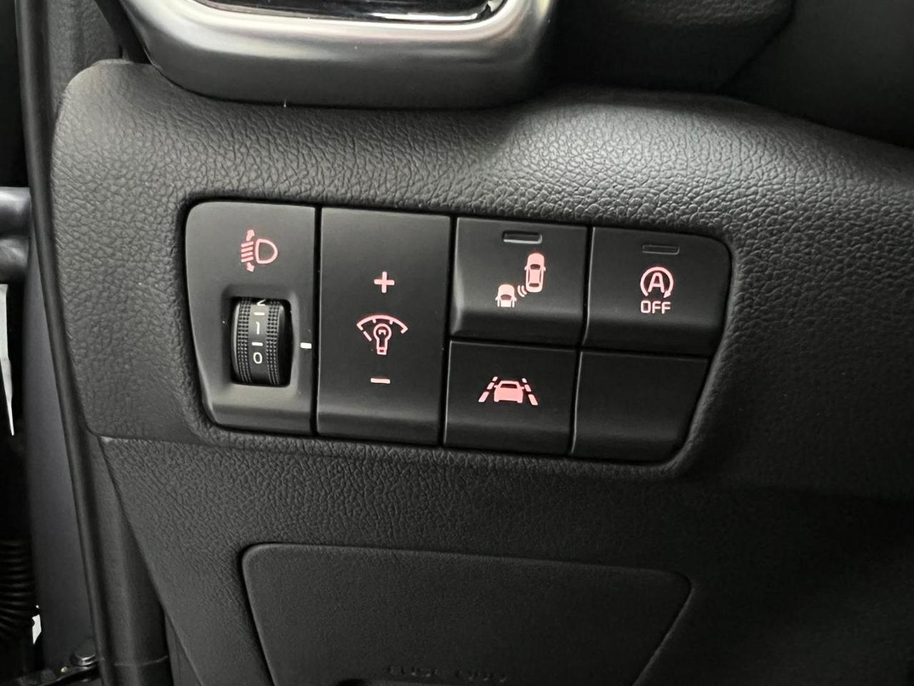 KIA Sportage 1.6 CRDI 136 CV DCT7 AWD GT Line - 31