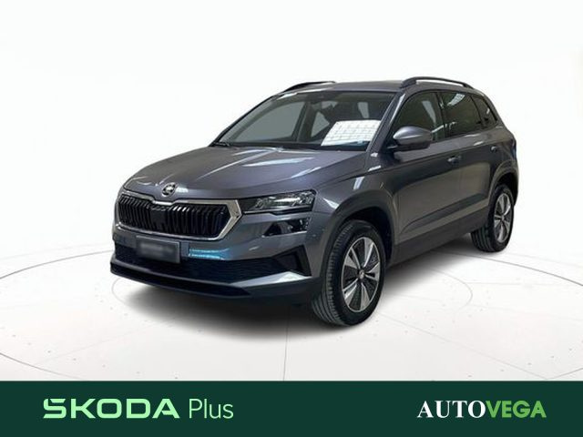 SKODA Karoq Grigio pastello