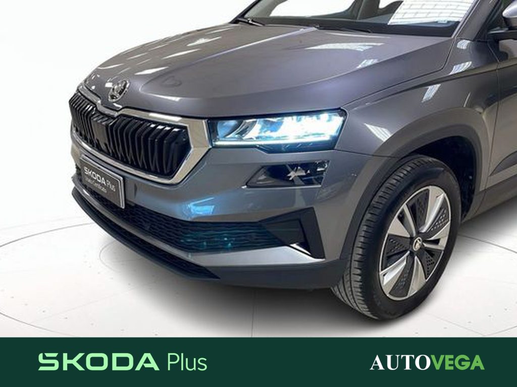 SKODA Karoq 2.0 tdi executive 115cv - 19