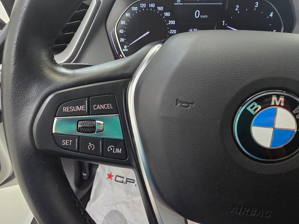 BMW 116 d 5p. Business Advantage - 13