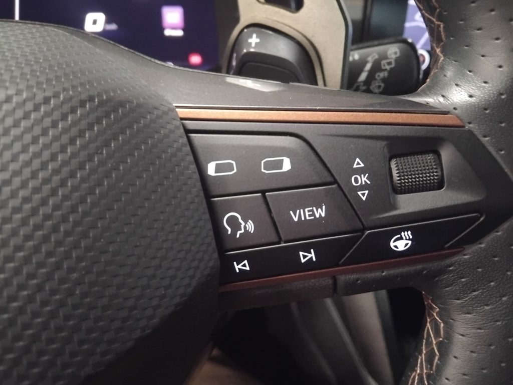 CUPRA Formentor 2.0 TSI 4Drive DSG 19 VIDEO BUCKET - 13