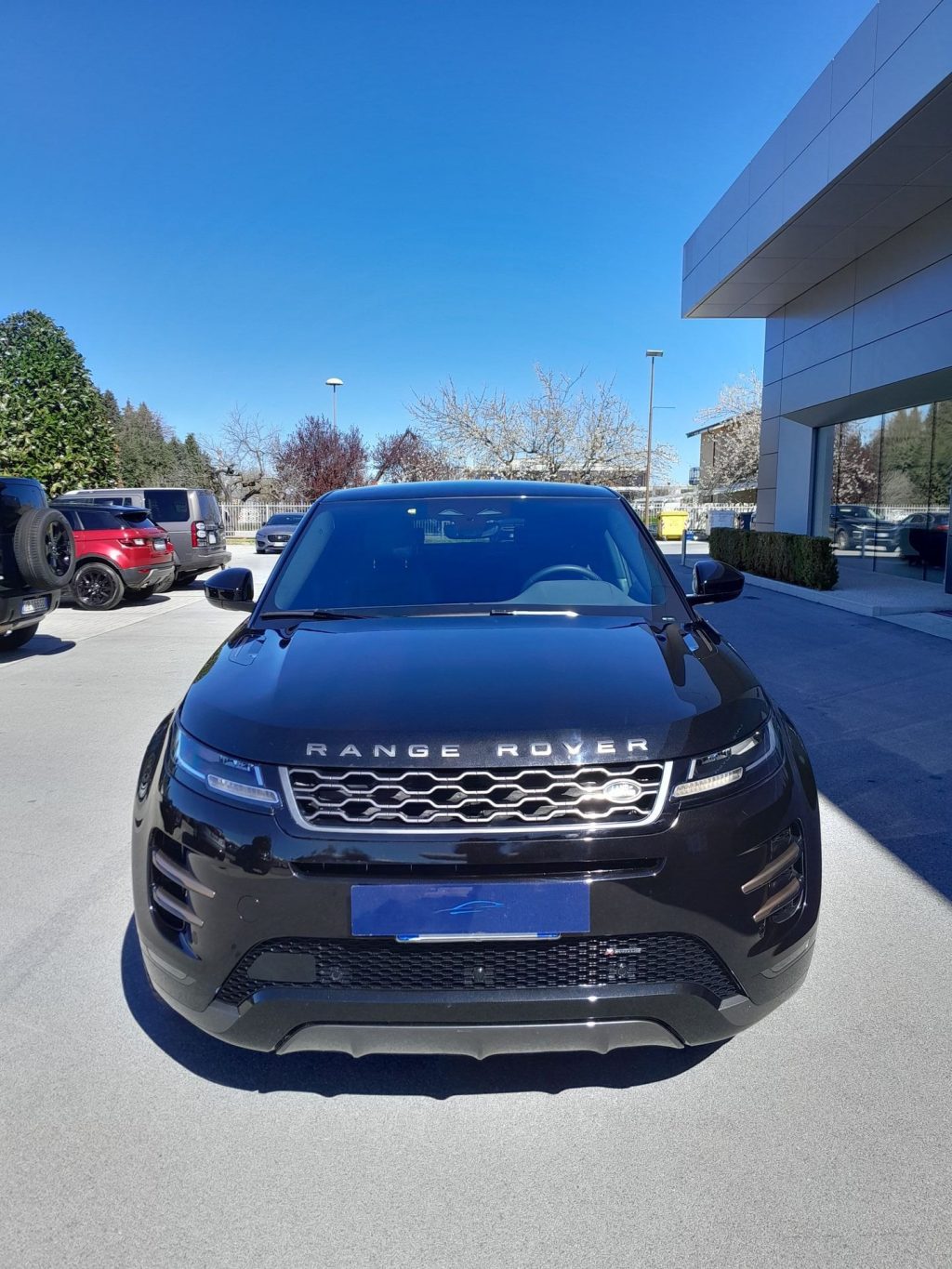 LAND ROVER Range Rover Evoque 2.0 D163 MHEV R-Dynamic S AWD auto - 29