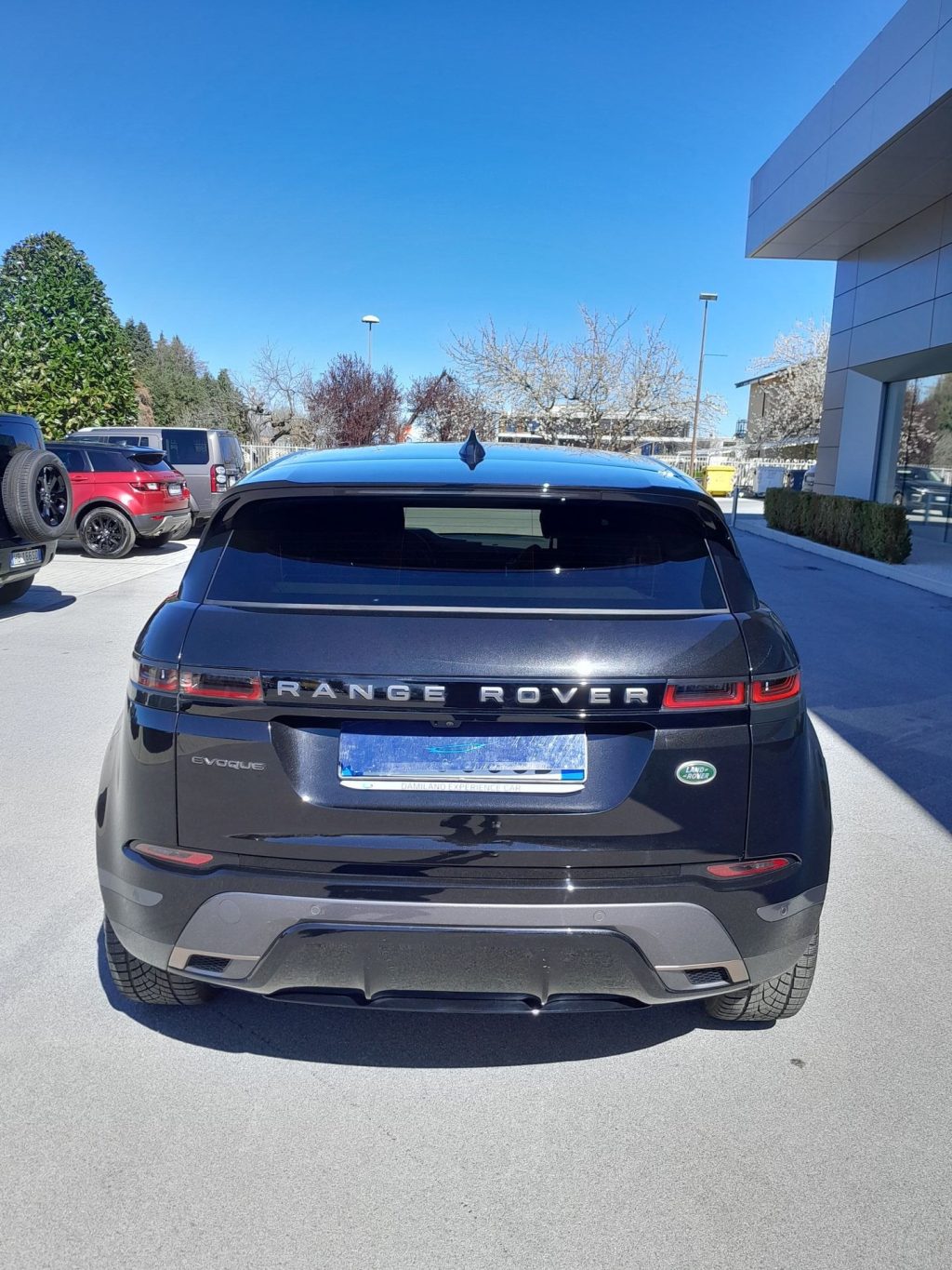 LAND ROVER Range Rover Evoque 2.0 D163 MHEV R-Dynamic S AWD auto - 7