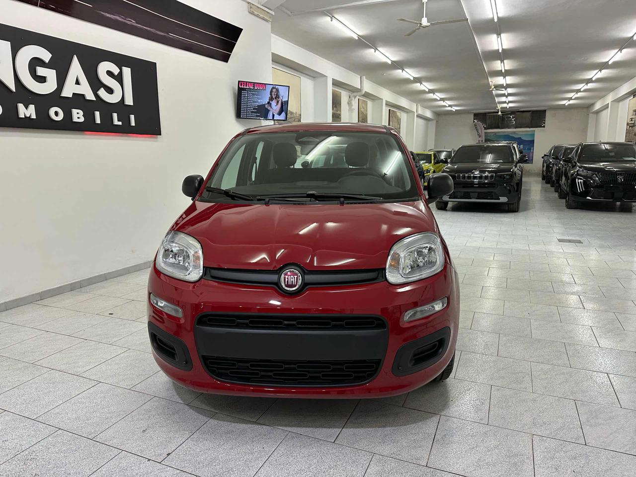 FIAT Panda POP 1.0 FireFly S&S Hybrid - 2