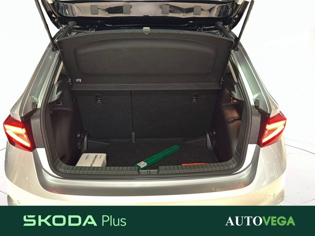 SKODA Fabia 1.0 tsi selection 95cv - 18