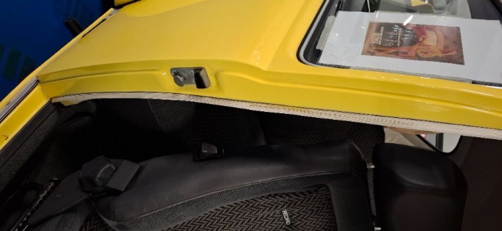 VOLKSWAGEN Buggy AUTOZODIACO BAJA CALIFORNIA - 38