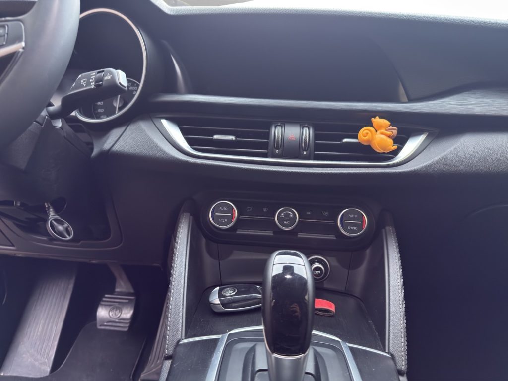 ALFA ROMEO Stelvio 2.2 Turbodiesel 180 CV AT8 RWD Business - 14