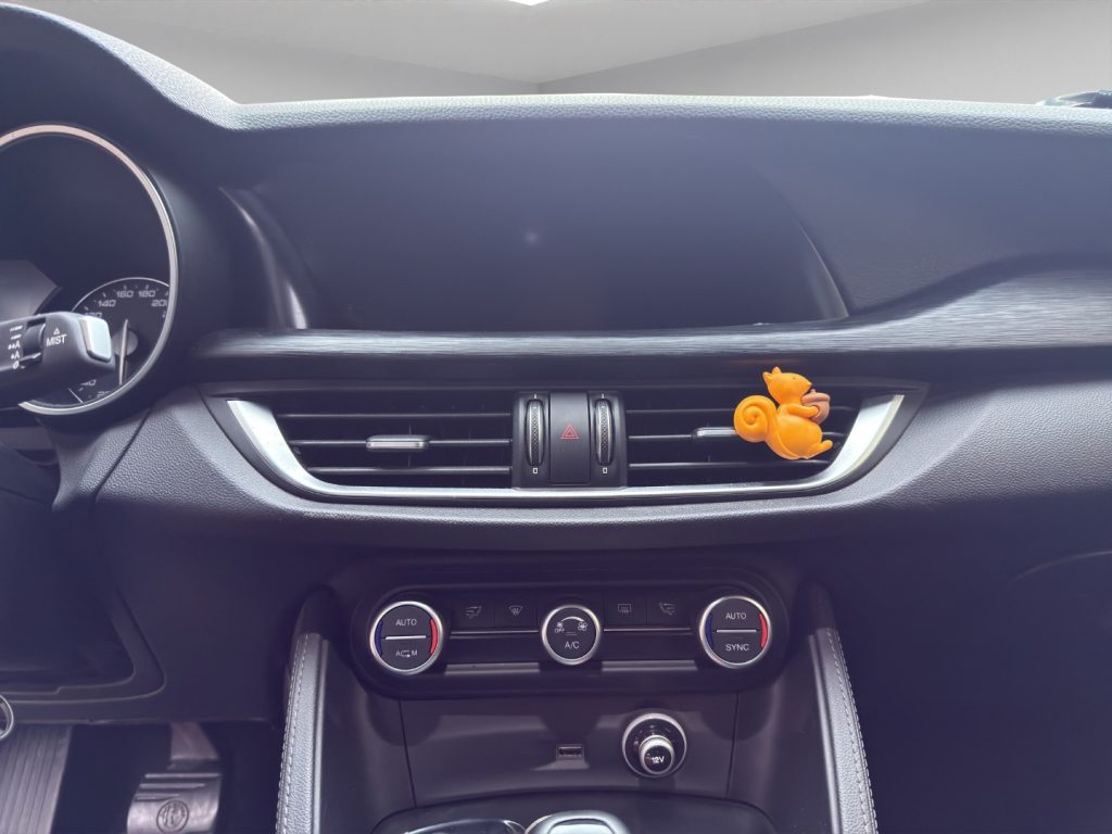 ALFA ROMEO Stelvio 2.2 Turbodiesel 180 CV AT8 RWD Business - 15