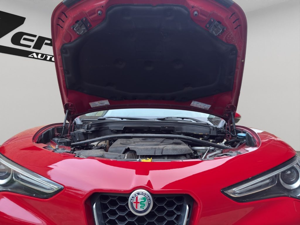 ALFA ROMEO Stelvio 2.2 Turbodiesel 180 CV AT8 RWD Business - 22