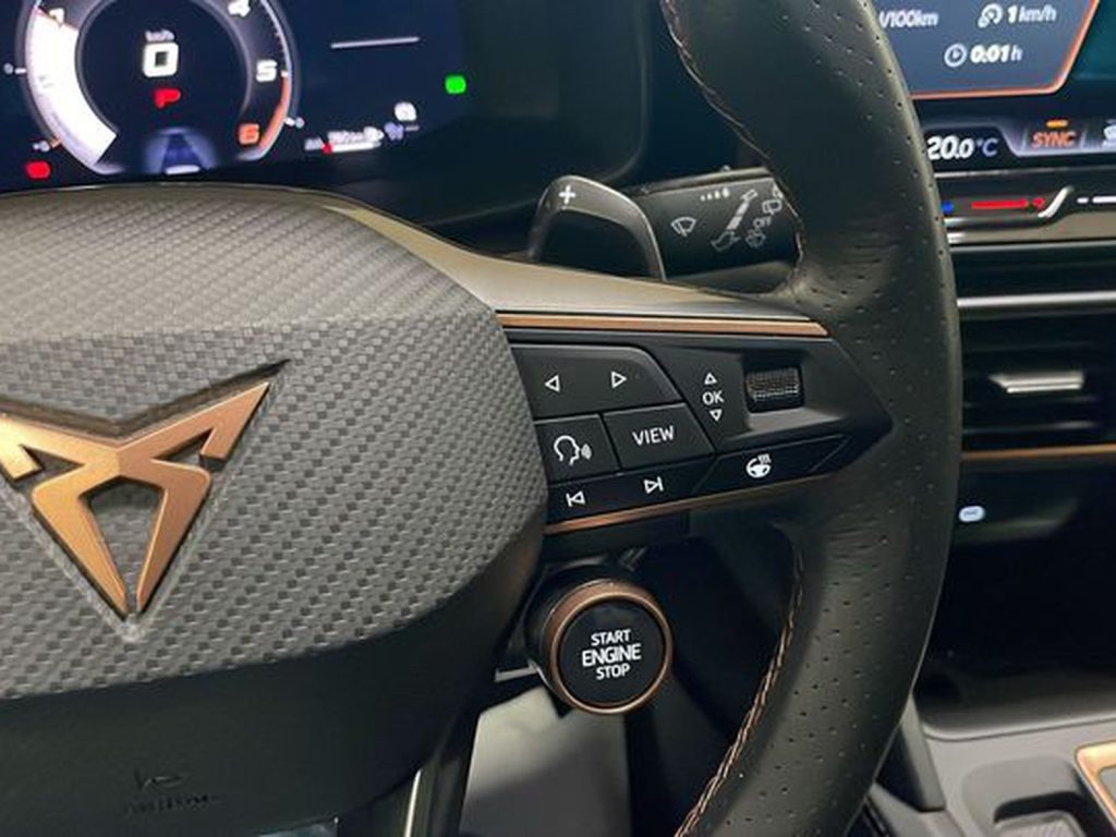 CUPRA Formentor 2.0 tdi 150cv dsg - 14