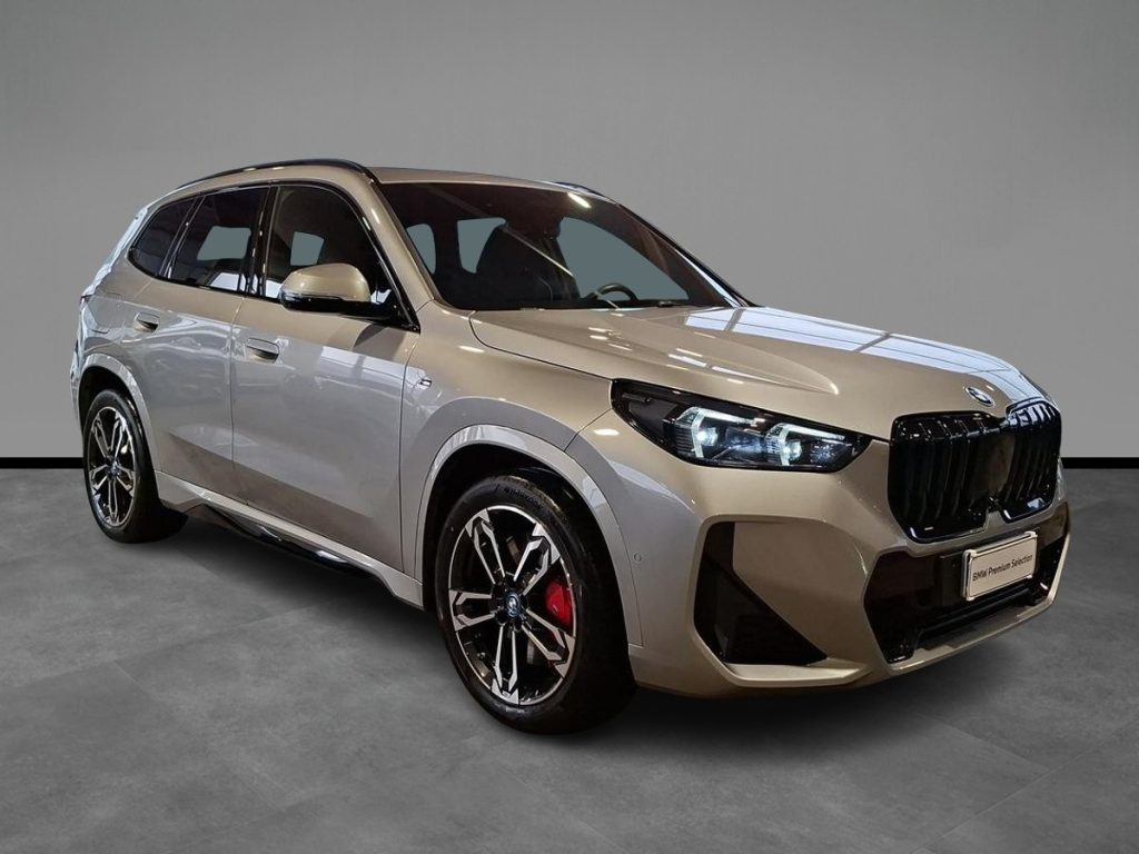 BMW X1 xDrive 25e Msport Pro - 16