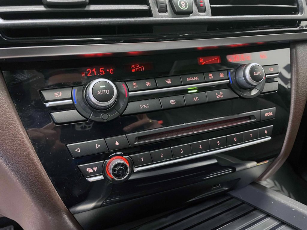 BMW X5 XDRIVE25D BUSINESS 231CV AUTO - 27