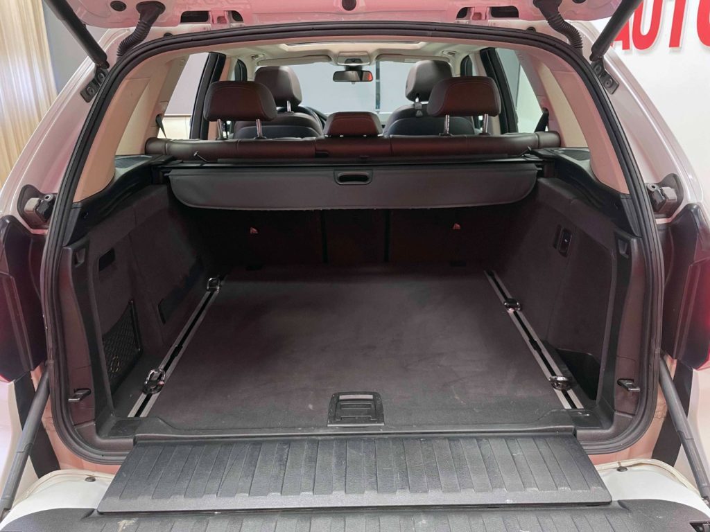 BMW X5 XDRIVE25D BUSINESS 231CV AUTO - 30