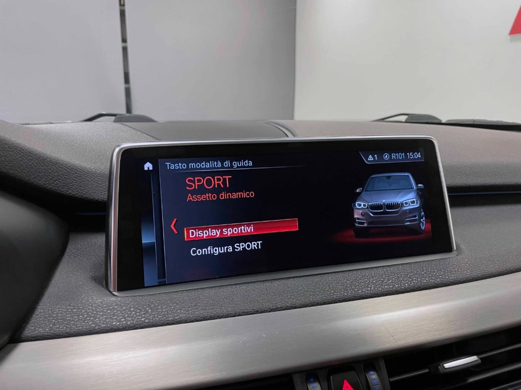 BMW X5 XDRIVE25D BUSINESS 231CV AUTO - 48