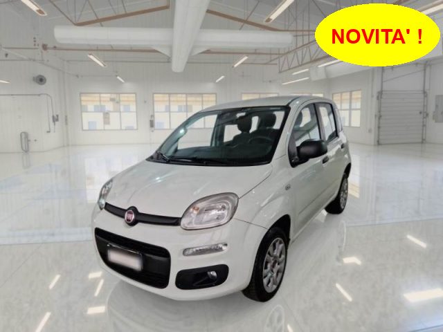 FIAT Panda Bianco pastello