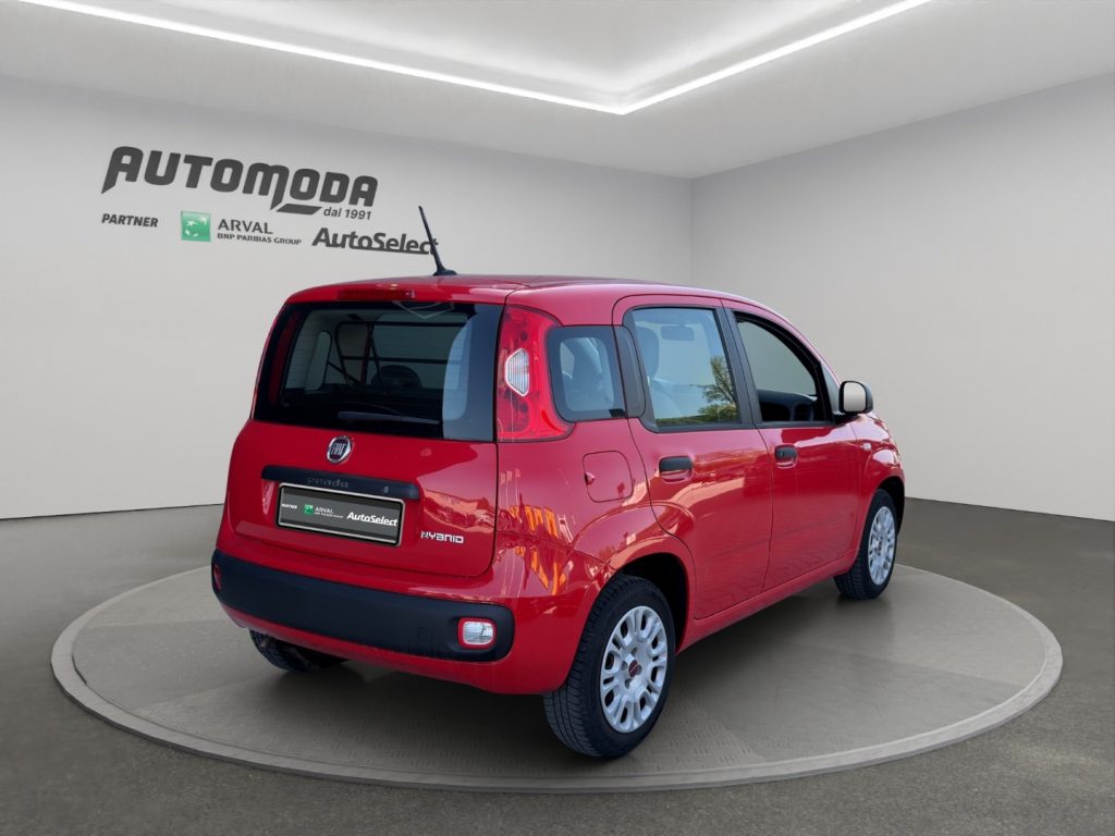 FIAT Panda 1.0 Hybrid Van 4 posti - 4