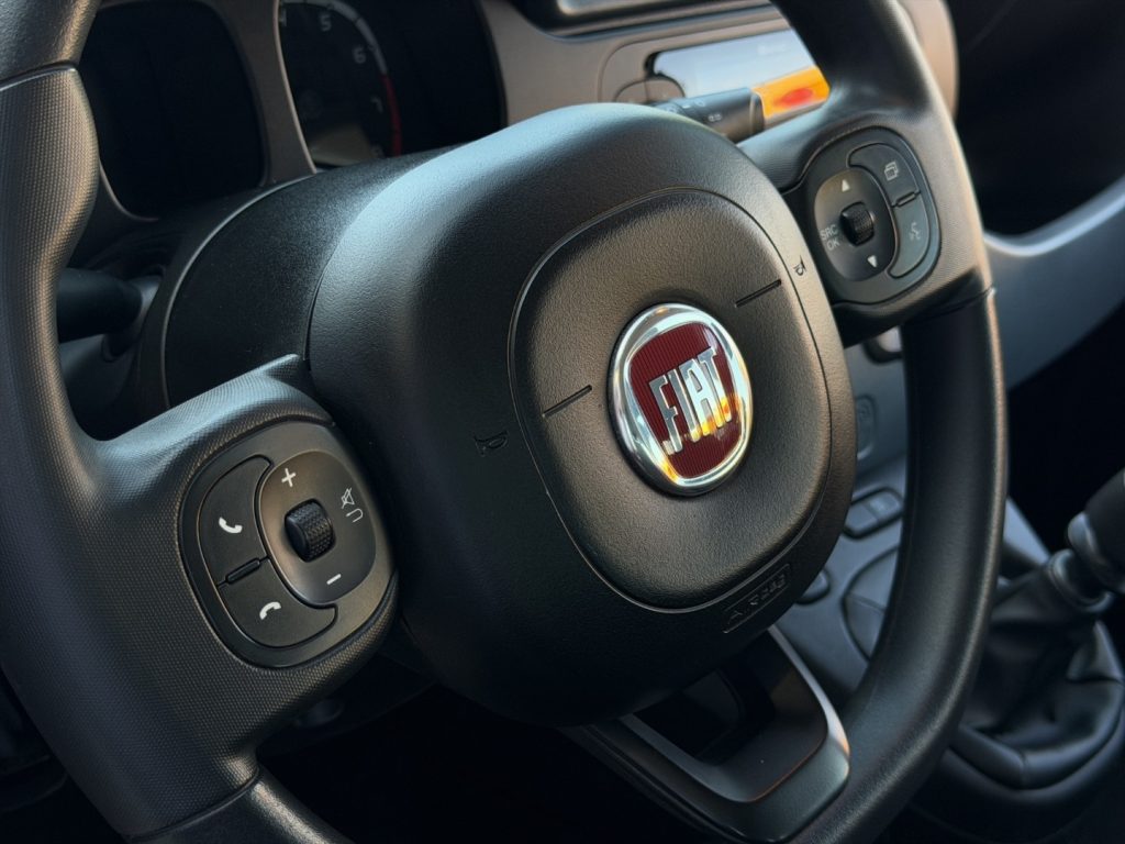 FIAT Panda 1.0 Hybrid Van 4 posti - 16