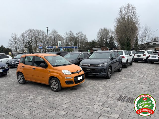 FIAT Panda Orange metallizzato