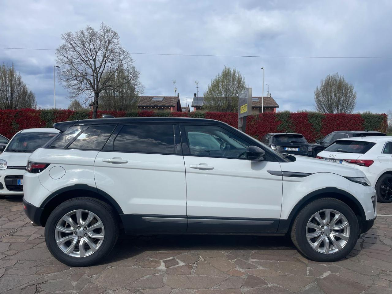 LAND ROVER Range Rover Evoque 2.0 TD4 150 CV 5p. SE Automatico - 4