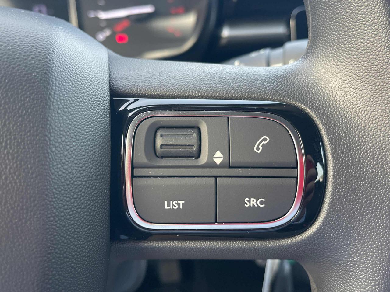 CITROEN C3 BlueHDi 100 S&S You - 10