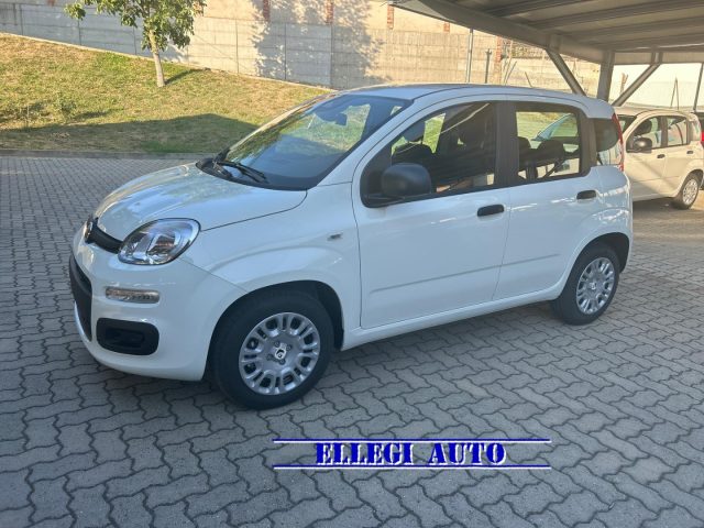 FIAT Panda Bianco extraserie pastello