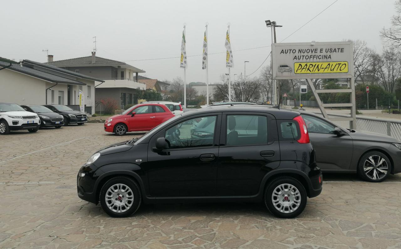 FIAT Panda 1.0 FireFly S&S Hybrid 5 Posti - 2